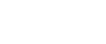 Seis Sentidos